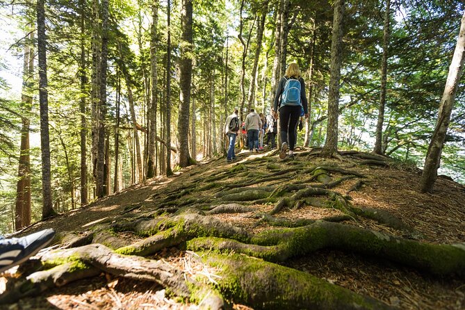 6 Day Tour - Trekking, Rafting, Jeep safari and Canyoning - What the $687.84 price really covers