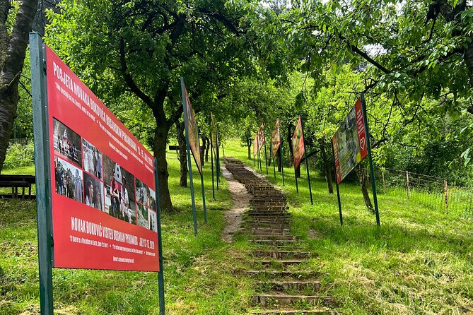 BOSNIAN PYRAMIDS TOUR (nature, history & archeology) - Entering the Ravne tunnels