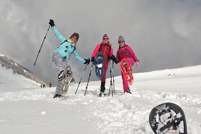 Experience Snowshoeing in Olympic Mountain Bjelašnica - Key points at a glance