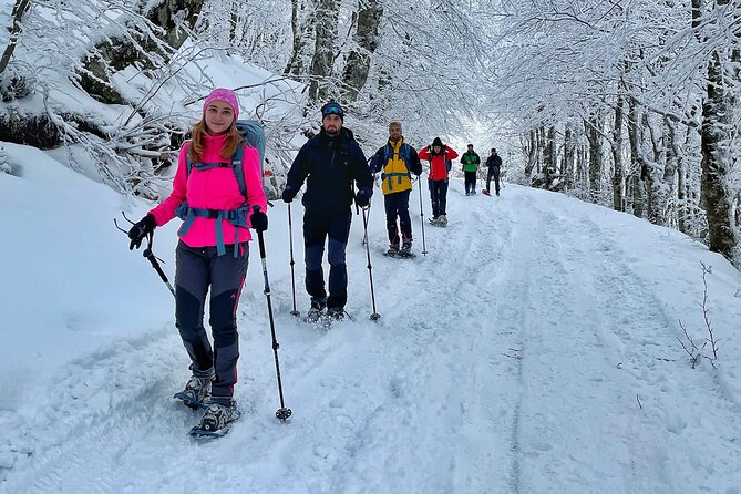 Experience Snowshoeing in Olympic Mountain Bjelašnica - From Sarajevo to Babin do at 9 a.m.