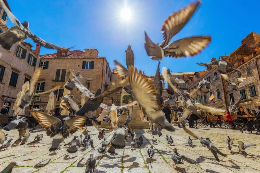 From Makarska : Dubrovnik Guided Tour & Free Time - Is $66 good value?