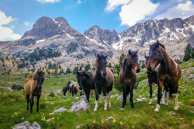 Hiking between Bosnia and Herzegovina - Five details that define this mountain trip