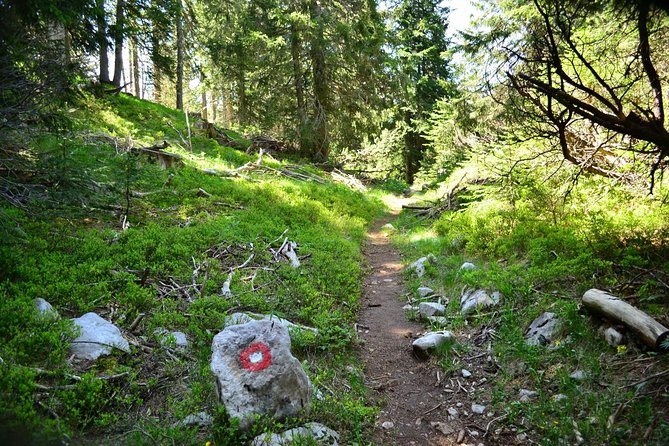 Hiking Cvrsnica mountain - Key points to know before you book
