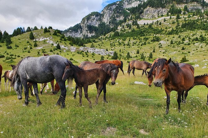 Hiking Prenj, Velika Kapa - Is $65.22 a good value?