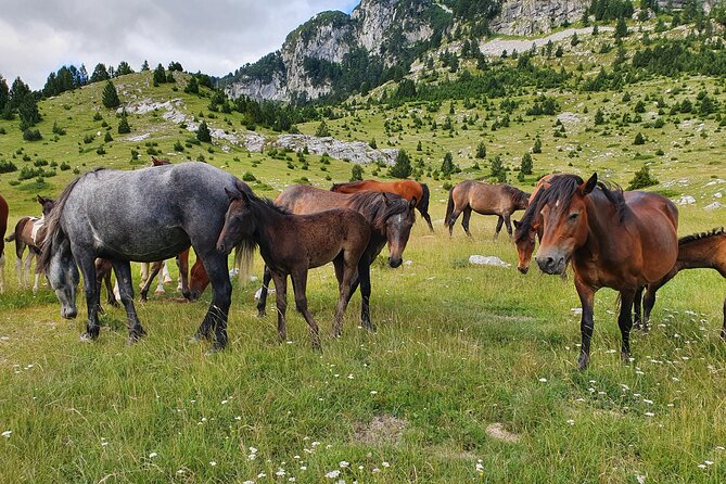 Jeep safari Prenj - Starting in Konjic at 10:00 a.m.