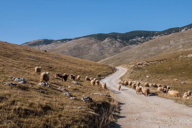 Lukomir Village Tour - From Sarajevo - The old stone tombstones at Nekropole sa steccima