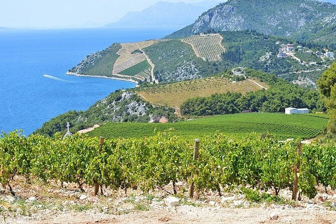 Private Tour in Croatia - What the private format adds