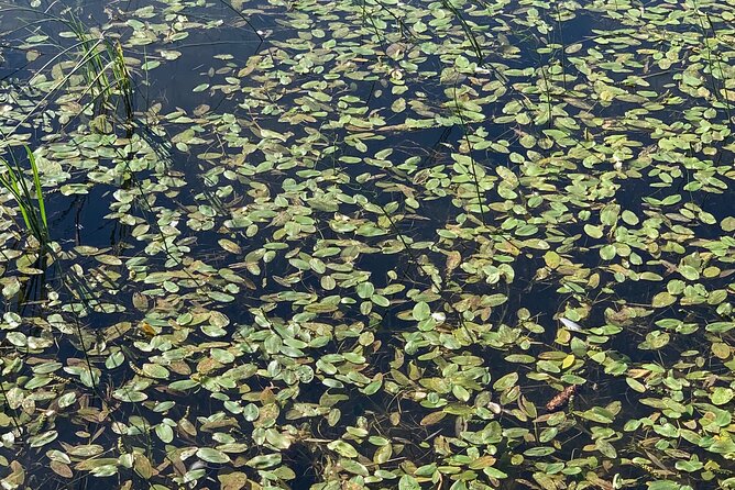 Prokoško Lake: A Day Tour to the Forgotten Village from Sarajevo - Why Prokoško Lake is worth a long day