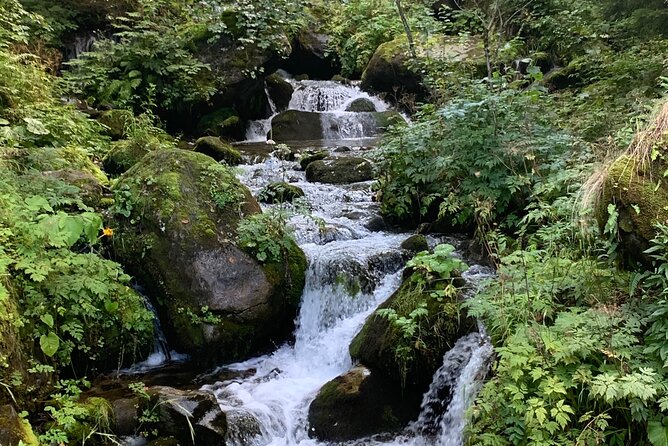 Prokoško Lake: A Day Tour to the Forgotten Village from Sarajevo - What $187.33 buys you