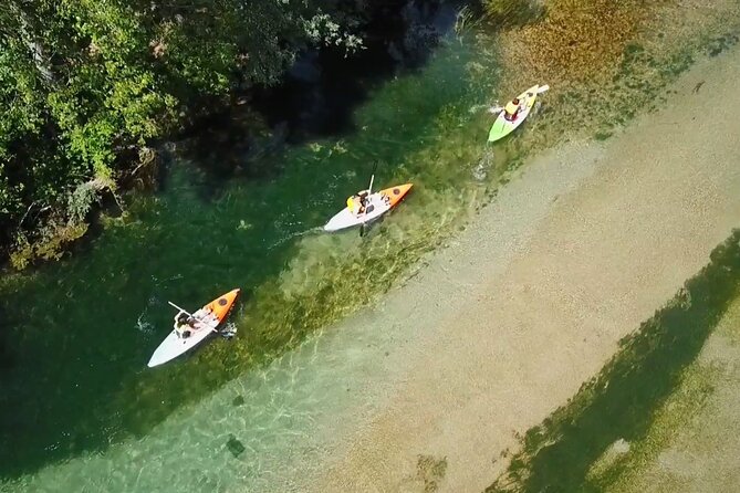 Safari kayak adventure w BBQ & Beer - Key points to know before you book