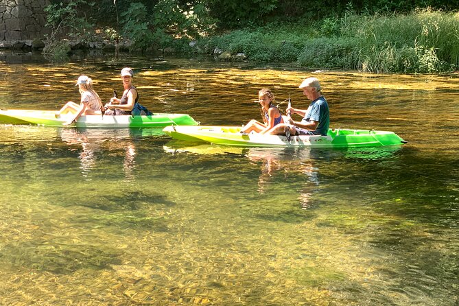 Safari kayak adventure w BBQ & Beer - A gentle return paddle through the trees