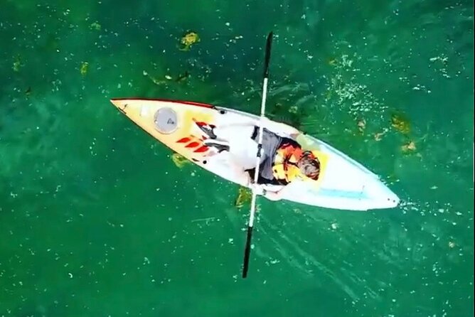 Safari kayak adventure w BBQ & Beer - Is $52.68 a fair price?