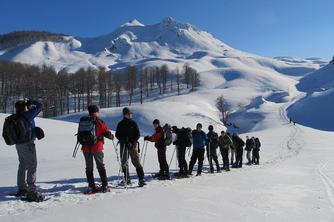 Sarajevo Snowshoeing Adventure - Hiking through beech forest toward Crveni Kuk
