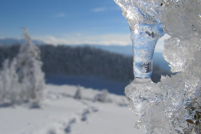 Snowshoeing on Trebevic Mountain from Sarajevo - Why Trebevic Makes a Good Winter Escape from Sarajevo
