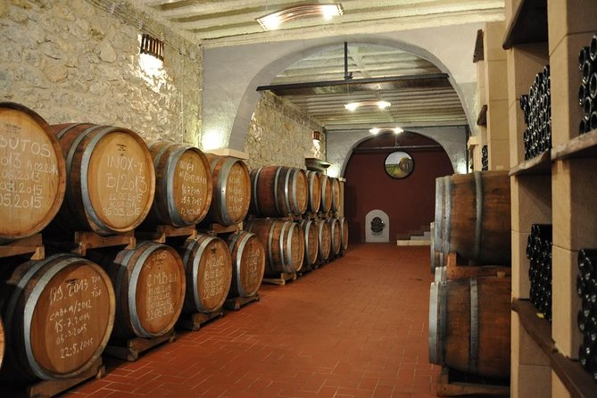 Wine Tour & Tasting (Herzegovina) - Second tasting: four wines in a traditional cellar